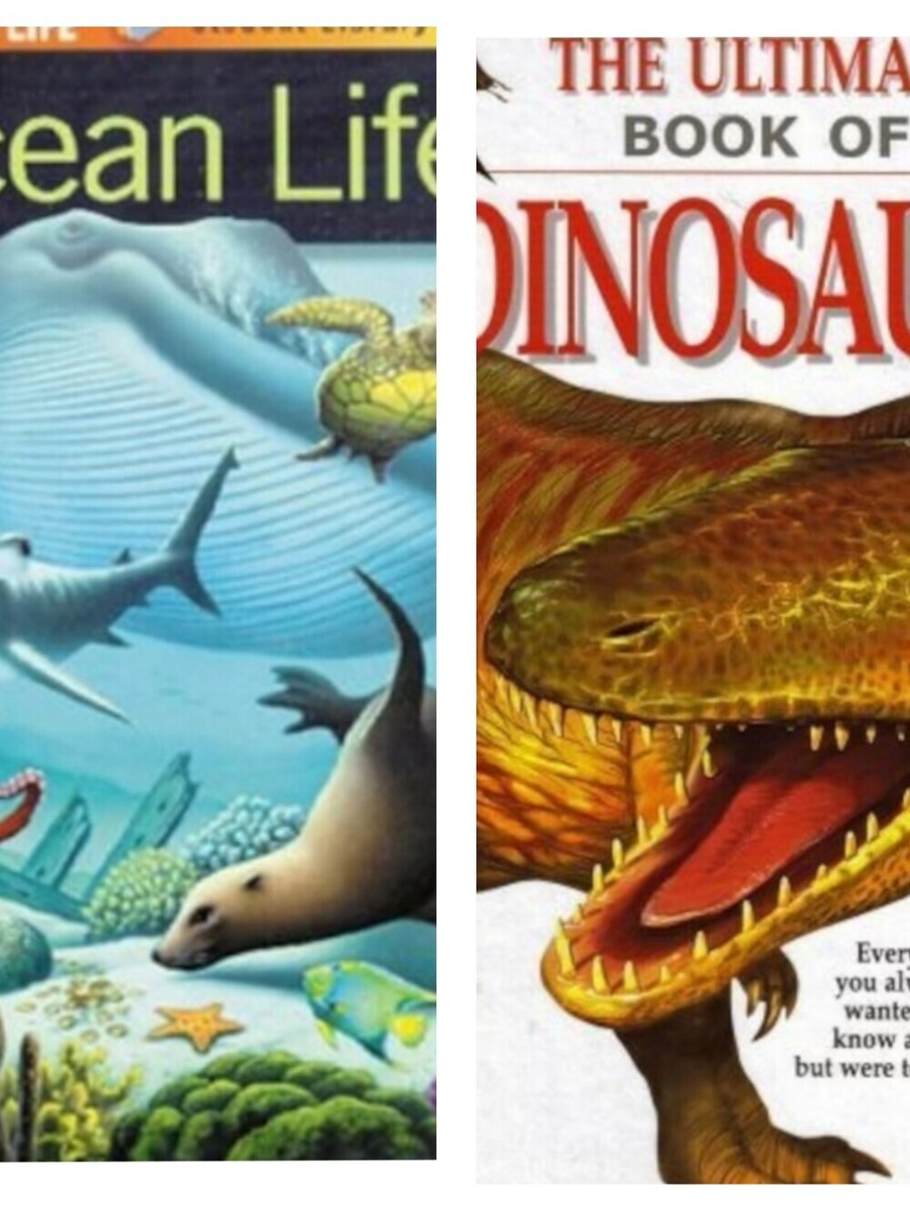 - Hardcover Books Bundle